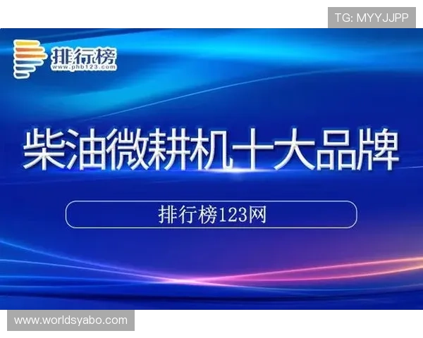 亚搏vip登录入口：解决常见登录问题的实用技巧帮助用户快速顺利进入平台体验精彩赛事